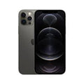 iPhone 12 Pro Max Gris